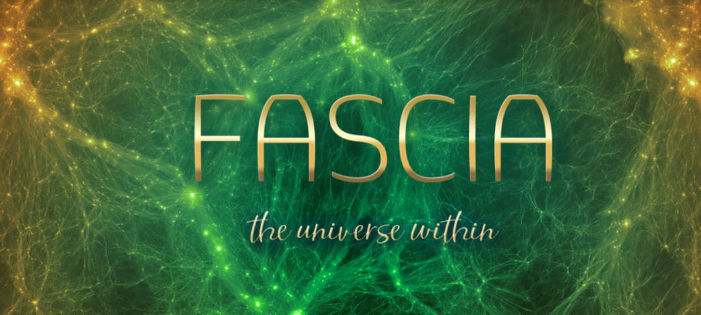 Fascia the universe within